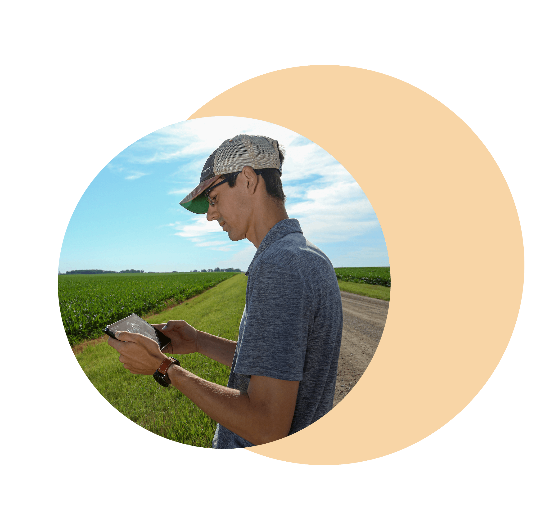 Efficiency with Sentera's DGR iPad at the Field Edge to Analyze Performance