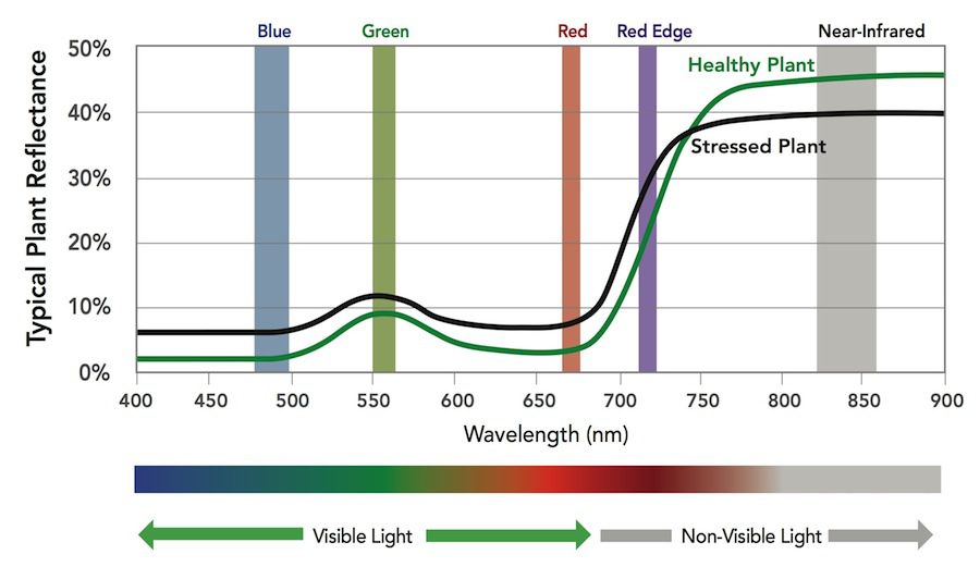 NDVI Imagery Wavelength