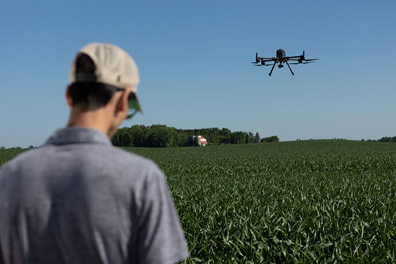 Drone pilot navigating drone over row crop field for Aerial WeedScout analysis Drone pilot navigating drone over row crop field for Aerial WeedScout analysis