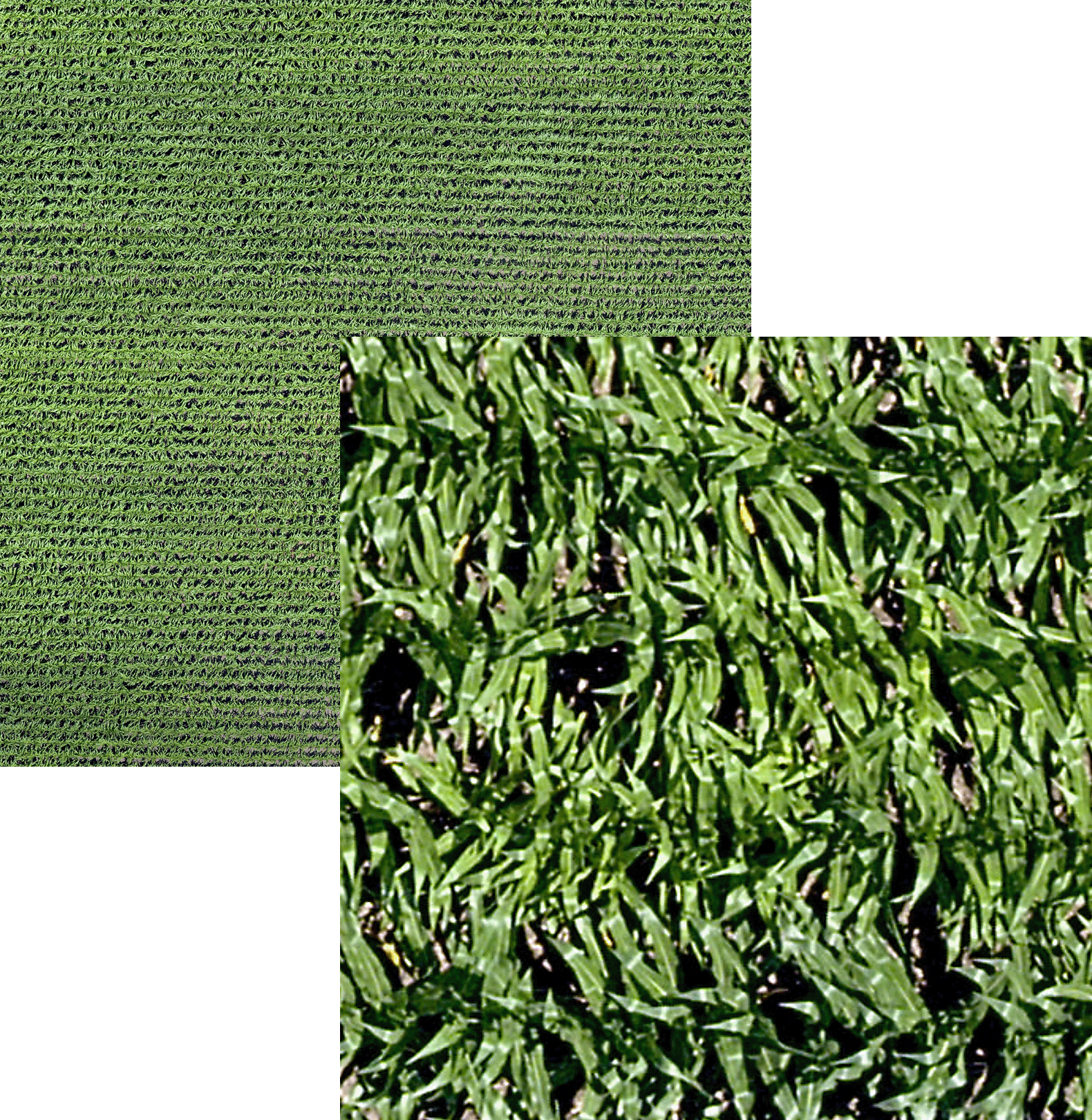 65R-Kircil2 65R Sensor - Corn